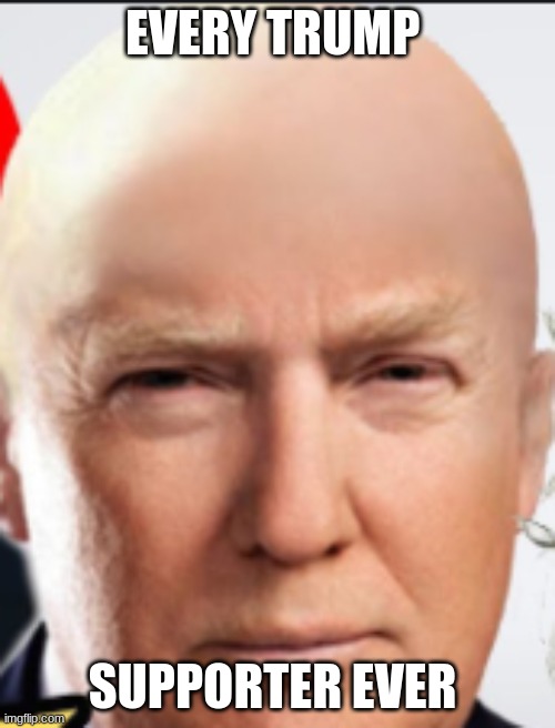 Hairless trump | EVERY TRUMP; SUPPORTER EVER | image tagged in hairless trump,donald trump,donald trump nazi | made w/ Imgflip meme maker