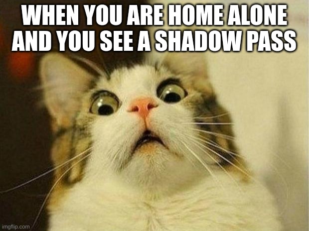 Scared Cat | WHEN YOU ARE HOME ALONE AND YOU SEE A SHADOW PASS | image tagged in memes,scared cat | made w/ Imgflip meme maker