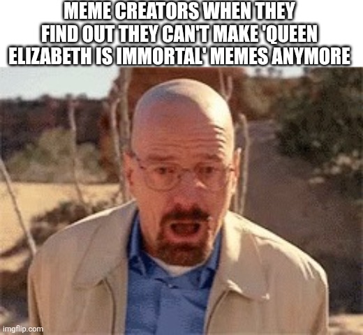 Rip queen Elizabeth | MEME CREATORS WHEN THEY FIND OUT THEY CAN'T MAKE 'QUEEN ELIZABETH IS IMMORTAL' MEMES ANYMORE | image tagged in walter white | made w/ Imgflip meme maker