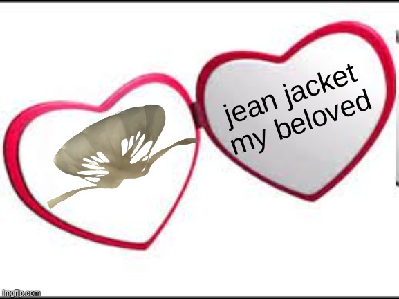 My beloved | jean jacket my beloved | image tagged in my beloved | made w/ Imgflip meme maker