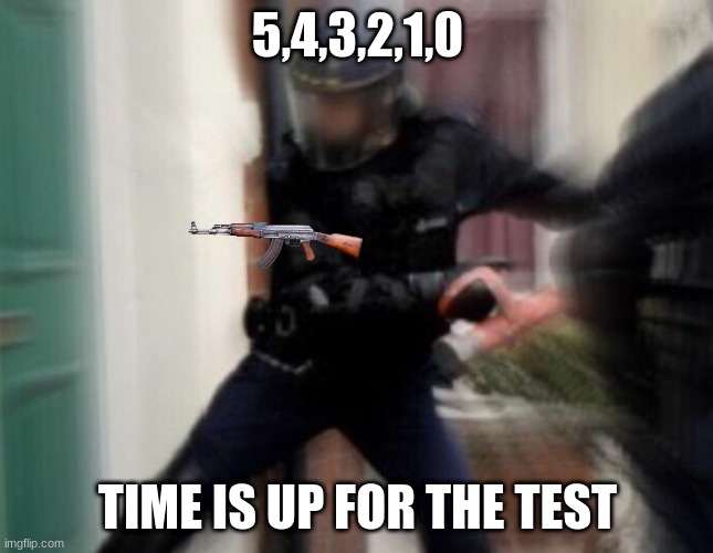 swat simalater |  5,4,3,2,1,0; TIME IS UP FOR THE TEST | image tagged in fbi door breach | made w/ Imgflip meme maker