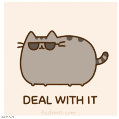 Pusheen Deal With It | image tagged in pusheen deal with it | made w/ Imgflip meme maker