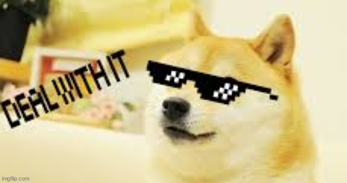 cool doge | image tagged in cool doge | made w/ Imgflip meme maker