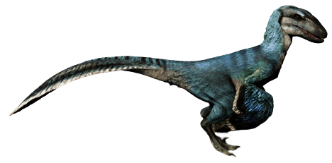 Blue feathered Velociraptor Blank Meme Template