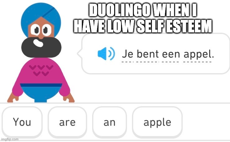 je drinkt de melk | DUOLINGO WHEN I HAVE LOW SELF ESTEEM | image tagged in fun | made w/ Imgflip meme maker