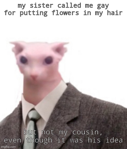 bingus | my sister called me gay for putting flowers in my hair; but not my cousin, even though it was his idea | image tagged in bingus | made w/ Imgflip meme maker