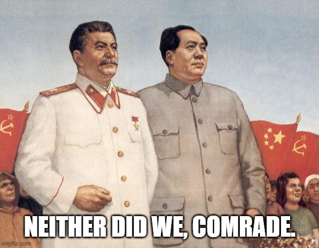Stalin and Mao | NEITHER DID WE, COMRADE. | image tagged in stalin and mao | made w/ Imgflip meme maker