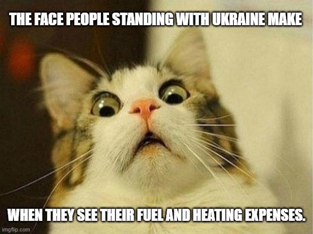 Scared Cat Meme | THE FACE PEOPLE STANDING WITH UKRAINE MAKE; WHEN THEY SEE THEIR FUEL AND HEATING EXPENSES. | image tagged in memes,scared cat | made w/ Imgflip meme maker