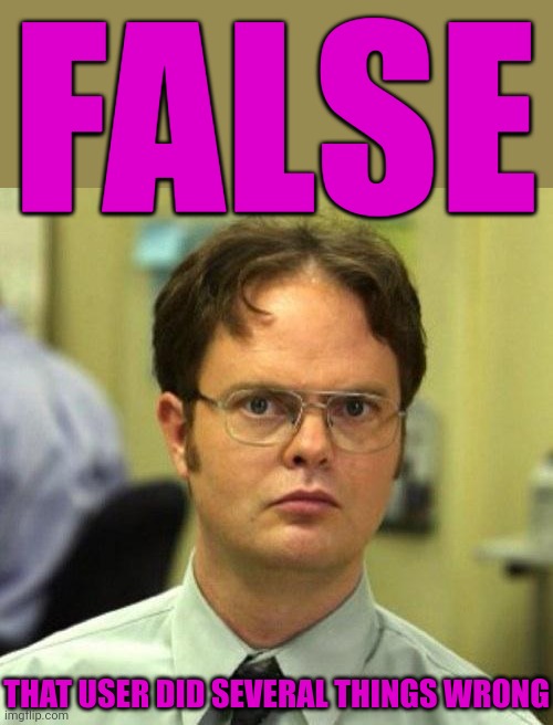 False | FALSE THAT USER DID SEVERAL THINGS WRONG | image tagged in false | made w/ Imgflip meme maker
