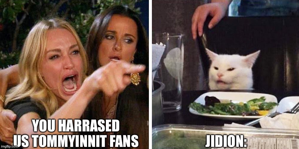 Yes | YOU HARRASED US TOMMYINNIT FANS; JIDION: | image tagged in smudge the cat | made w/ Imgflip meme maker