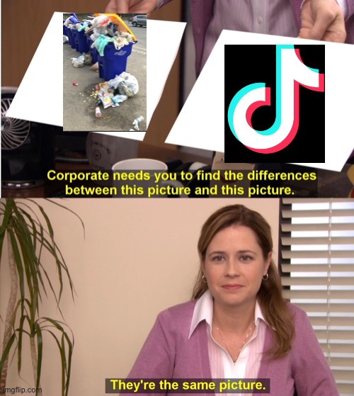 They are the same | image tagged in memes,they're the same picture | made w/ Imgflip meme maker