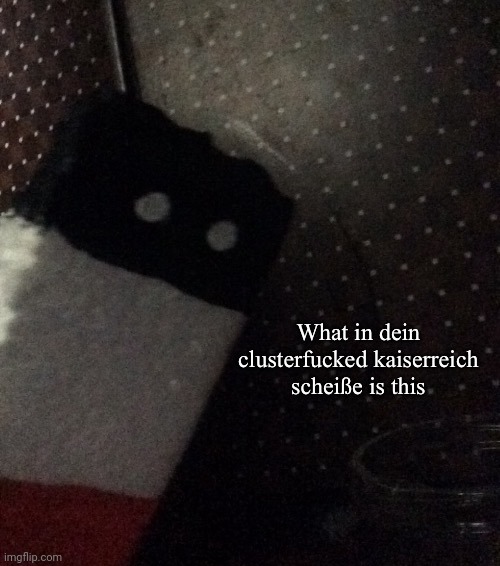 What in the clusterfucked kaiserreich scheiße is this | image tagged in what in the clusterfucked kaiserreich schei e is this | made w/ Imgflip meme maker