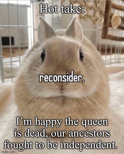 reconsider | Hot take:; I’m happy the queen is dead, our ancestors fought to be independent. | image tagged in reconsider | made w/ Imgflip meme maker