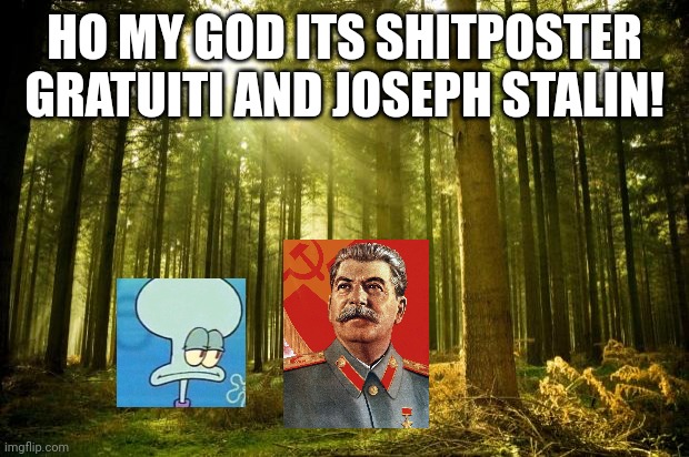 Ho visto Shitposter gratuiti e Joseph Stalin! | HO MY GOD ITS SHITPOSTER GRATUITI AND JOSEPH STALIN! | image tagged in sunlit forest | made w/ Imgflip meme maker