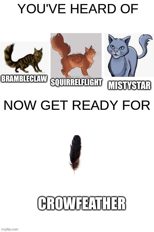 Wow not even relatable | BRAMBLECLAW; SQUIRRELFLIGHT; MISTYSTAR; CROWFEATHER | image tagged in you've heard of ______ | made w/ Imgflip meme maker