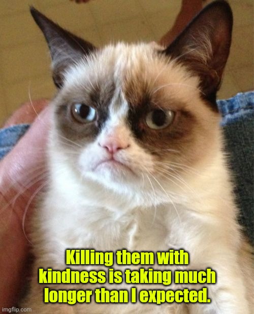 Too slow. | Killing them with kindness is taking much longer than I expected. | image tagged in memes,grumpy cat,funny | made w/ Imgflip meme maker