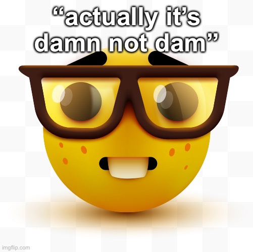 Nerd emoji | “actually it’s damn not dam” | image tagged in nerd emoji | made w/ Imgflip meme maker