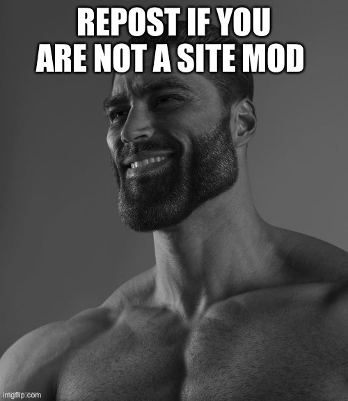 Giga Chad | REPOST IF YOU ARE NOT A SITE MOD | image tagged in giga chad | made w/ Imgflip meme maker