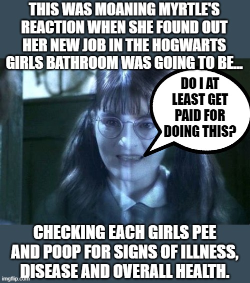 Moaning Myrtle's Spooky New Job | THIS WAS MOANING MYRTLE'S REACTION WHEN SHE FOUND OUT HER NEW JOB IN THE HOGWARTS GIRLS BATHROOM WAS GOING TO BE... DO I AT LEAST GET PAID FOR DOING THIS? CHECKING EACH GIRLS PEE AND POOP FOR SIGNS OF ILLNESS, DISEASE AND OVERALL HEALTH. | image tagged in memes,harry potter,dark humor,bathrooms,toilet humor,eyeroll | made w/ Imgflip meme maker