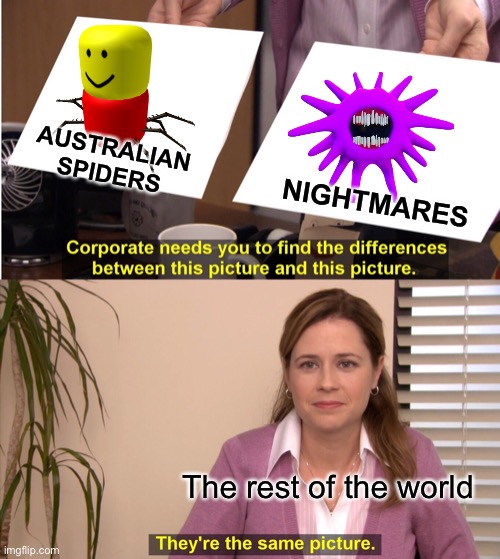 Australian | AUSTRALIAN SPIDERS; NIGHTMARES; The rest of the world | image tagged in memes,they're the same picture,australia,spider | made w/ Imgflip meme maker