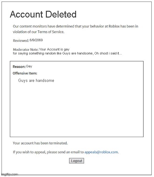 roblox is sus | Account Deleted; 6/9/2069; Your Account is gay; for saying something random like Guys are handsome, Oh shoot i said it... Gay; Guys are handsome | image tagged in moderation system | made w/ Imgflip meme maker