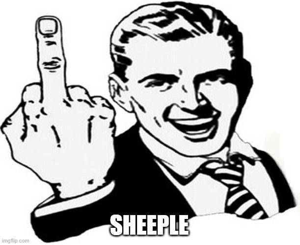 You don't like me? | SHEEPLE | image tagged in you don't like me | made w/ Imgflip meme maker