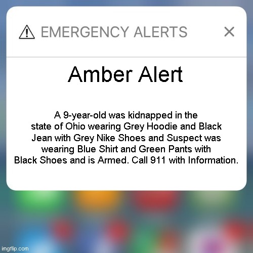 Amber Alert | Amber Alert; A 9-year-old was kidnapped in the state of Ohio wearing Grey Hoodie and Black Jean with Grey Nike Shoes and Suspect was wearing Blue Shirt and Green Pants with Black Shoes and is Armed. Call 911 with Information. | image tagged in emergency alert | made w/ Imgflip meme maker