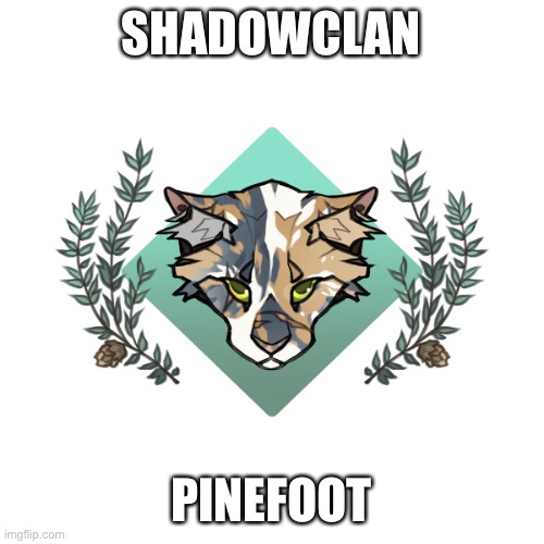 SHADOWCLAN; PINEFOOT | made w/ Imgflip meme maker