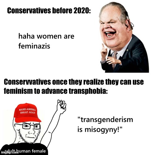 Conservatives perverting feminism | image tagged in feminism,feminism is cancer,rush limbaugh,transphobic,conservative logic,conservative hypocrisy | made w/ Imgflip meme maker