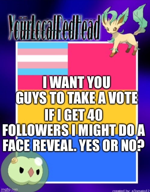 Eeeeeeeeeeee idk | I WANT YOU GUYS TO TAKE A VOTE; IF I GET 40 FOLLOWERS I MIGHT DO A FACE REVEAL. YES OR NO? | image tagged in wow,oh wow are you actually reading these tags | made w/ Imgflip meme maker
