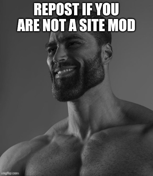 Giga Chad | REPOST IF YOU ARE NOT A SITE MOD | image tagged in giga chad | made w/ Imgflip meme maker