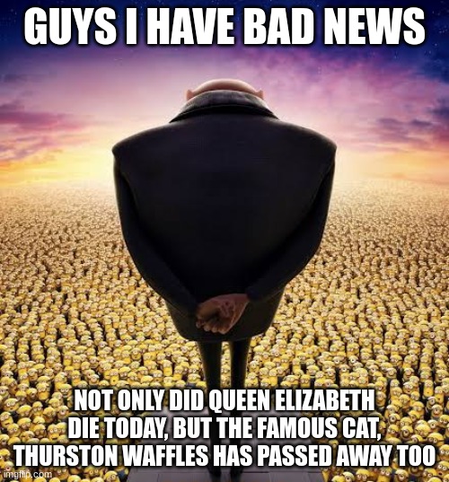 SO MANY PEOPLE DIED THIS MONTH. | GUYS I HAVE BAD NEWS; NOT ONLY DID QUEEN ELIZABETH DIE TODAY, BUT THE FAMOUS CAT, THURSTON WAFFLES HAS PASSED AWAY TOO | made w/ Imgflip meme maker
