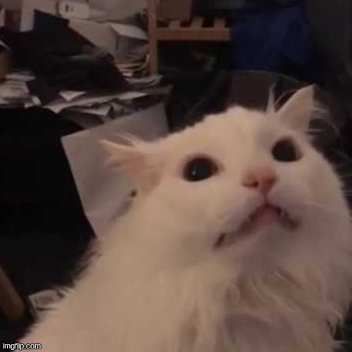 disturbed thurston | image tagged in disturbed thurston | made w/ Imgflip meme maker