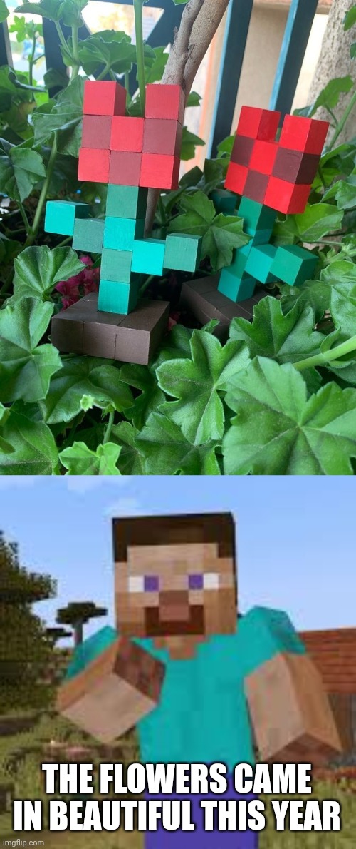 SO PRETTY | THE FLOWERS CAME IN BEAUTIFUL THIS YEAR | image tagged in minecraft,minecraft steve,minecraft memes | made w/ Imgflip meme maker
