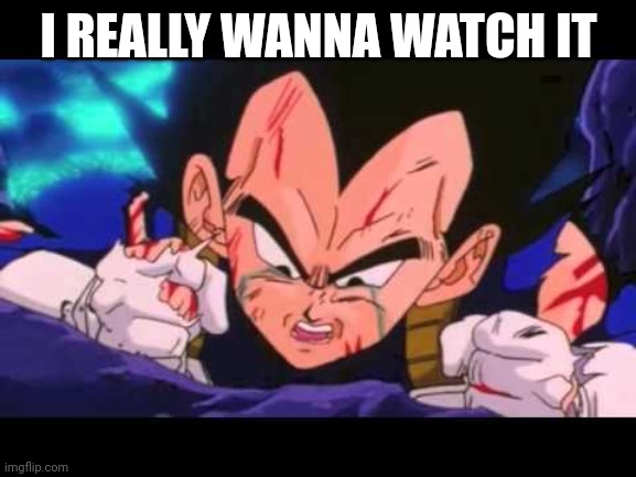 Vegeta Cry | I REALLY WANNA WATCH IT | image tagged in vegeta cry | made w/ Imgflip meme maker