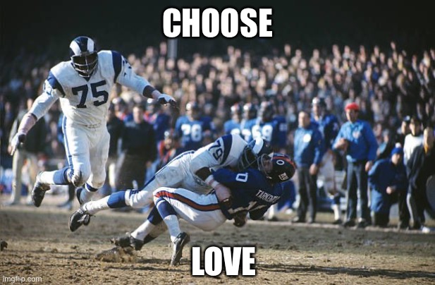 Choose love | CHOOSE; LOVE | image tagged in nfl | made w/ Imgflip meme maker