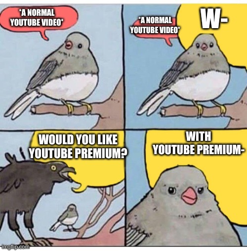 annoyed bird | *A NORMAL YOUTUBE VIDEO* *A NORMAL YOUTUBE VIDEO* W- WOULD YOU LIKE YOUTUBE PREMIUM? WITH YOUTUBE PREMIUM- | image tagged in annoyed bird | made w/ Imgflip meme maker