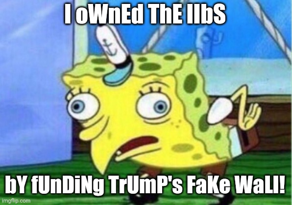 Mocking Spongebob Meme | I oWnEd ThE lIbS bY fUnDiNg TrUmP's FaKe WaLl! | image tagged in memes,mocking spongebob | made w/ Imgflip meme maker