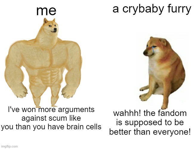 Support my battle | me; a crybaby furry; I've won more arguments against scum like you than you have brain cells; wahhh! the fandom is supposed to be better than everyone! | image tagged in memes,buff doge vs cheems,furries,crybaby,nuclear,roast | made w/ Imgflip meme maker