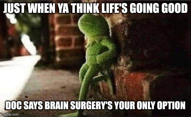 Chiari facts | JUST WHEN YA THINK LIFE'S GOING GOOD; DOC SAYS BRAIN SURGERY'S YOUR ONLY OPTION | image tagged in scumbag brain,brain,awareness | made w/ Imgflip meme maker