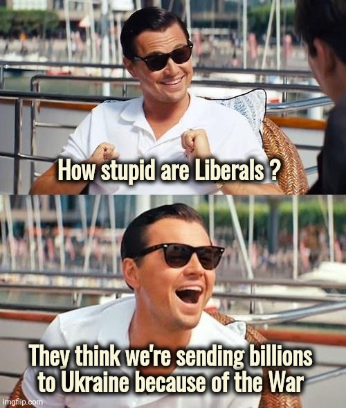 Leonardo Dicaprio Wolf Of Wall Street Meme | How stupid are Liberals ? They think we're sending billions
 to Ukraine because of the War | image tagged in memes,leonardo dicaprio wolf of wall street | made w/ Imgflip meme maker