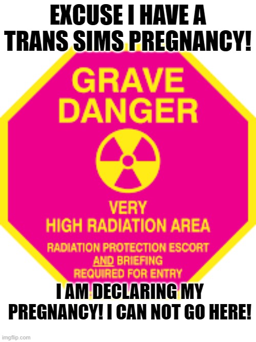 EXCUSE I HAVE A TRANS SIMS PREGNANCY! I AM DECLARING MY PREGNANCY! I CAN NOT GO HERE! | made w/ Imgflip meme maker