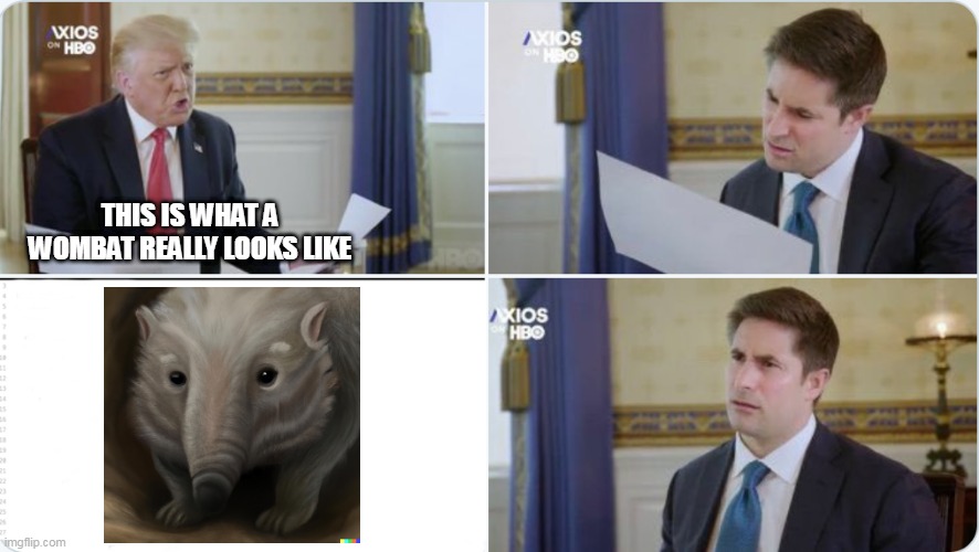 Confused Jonathan Swan |  THIS IS WHAT A WOMBAT REALLY LOOKS LIKE | image tagged in confused jonathan swan | made w/ Imgflip meme maker