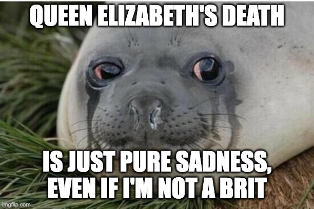 Crying Seal | QUEEN ELIZABETH'S DEATH; IS JUST PURE SADNESS, EVEN IF I'M NOT A BRIT | image tagged in crying seal | made w/ Imgflip meme maker