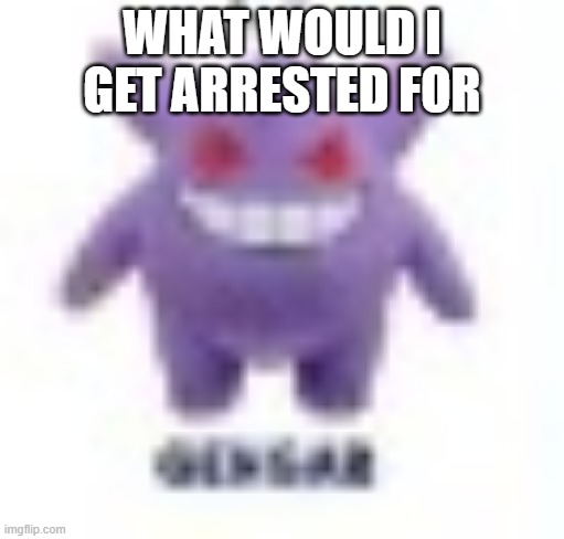 low quality gengar | WHAT WOULD I GET ARRESTED FOR | image tagged in low quality gengar | made w/ Imgflip meme maker