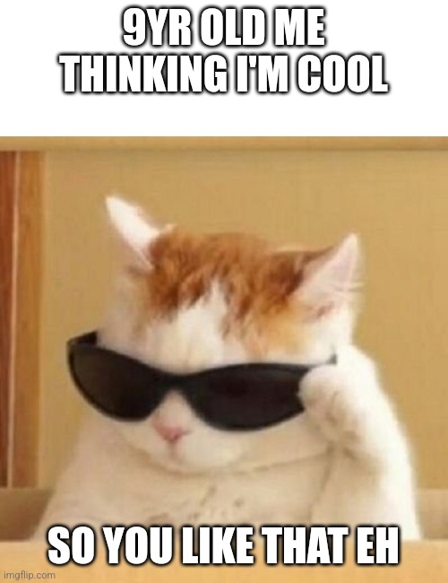 Cool cat | 9YR OLD ME THINKING I'M COOL; SO YOU LIKE THAT EH | image tagged in cool cat | made w/ Imgflip meme maker