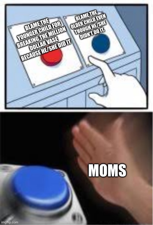 I don’t know what to call this meme | BLAME THE OLDER CHILD EVEN THOUGH HE/SHE DIDN’T DO IT. BLAME THE YOUNGER CHILD FOR BREAKING THE MILLION DOLLAR VASE BECAUSE HE/SHE DID IT; MOMS | image tagged in red and blue button | made w/ Imgflip meme maker