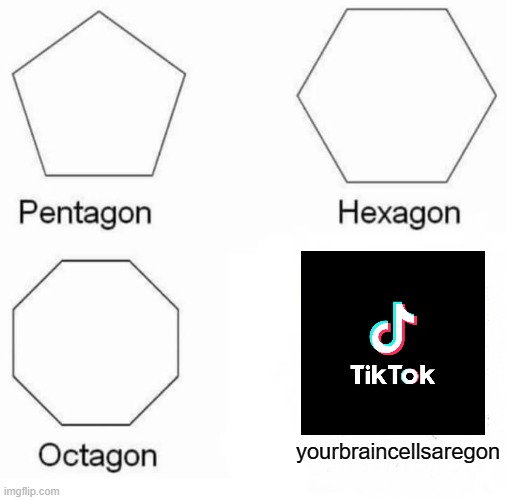 there are 2 sides of tiktok: crappy side, and good side | yourbraincellsaregon | image tagged in memes,pentagon hexagon octagon,funny,tiktok | made w/ Imgflip meme maker