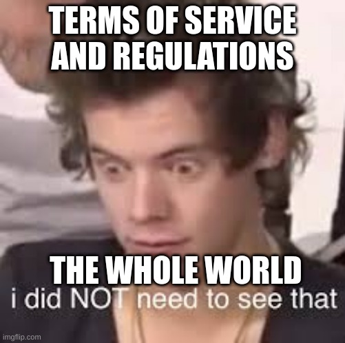 I did not need to see that | TERMS OF SERVICE AND REGULATIONS; THE WHOLE WORLD | image tagged in i did not need to see that | made w/ Imgflip meme maker