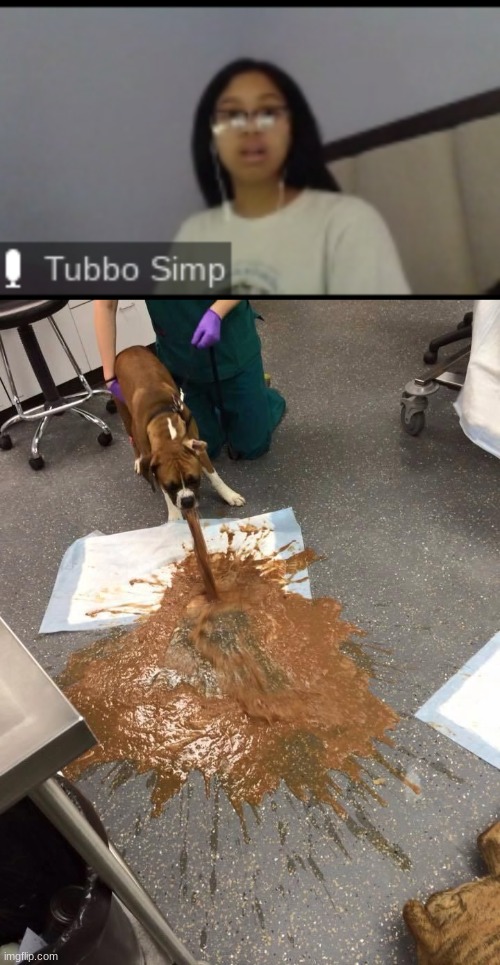 Dsmp sucks (this tubbo simp too) | image tagged in puke dog,tubbo simp,caught in 4k | made w/ Imgflip meme maker